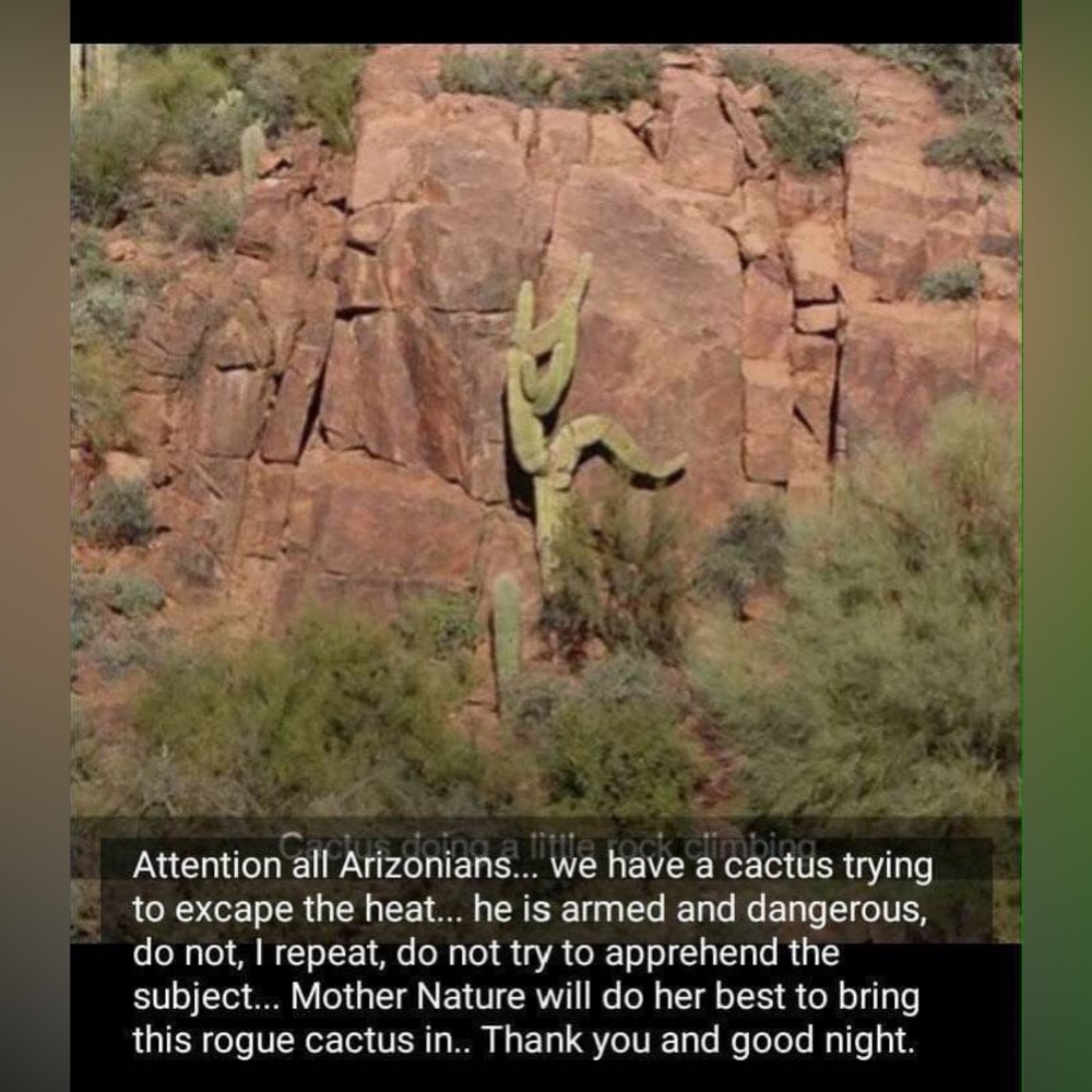 $1 NAIL STICKER SHEET. NEW. $1 WITH ANY $10 ORDER OR MORE - Picture 7 of 14